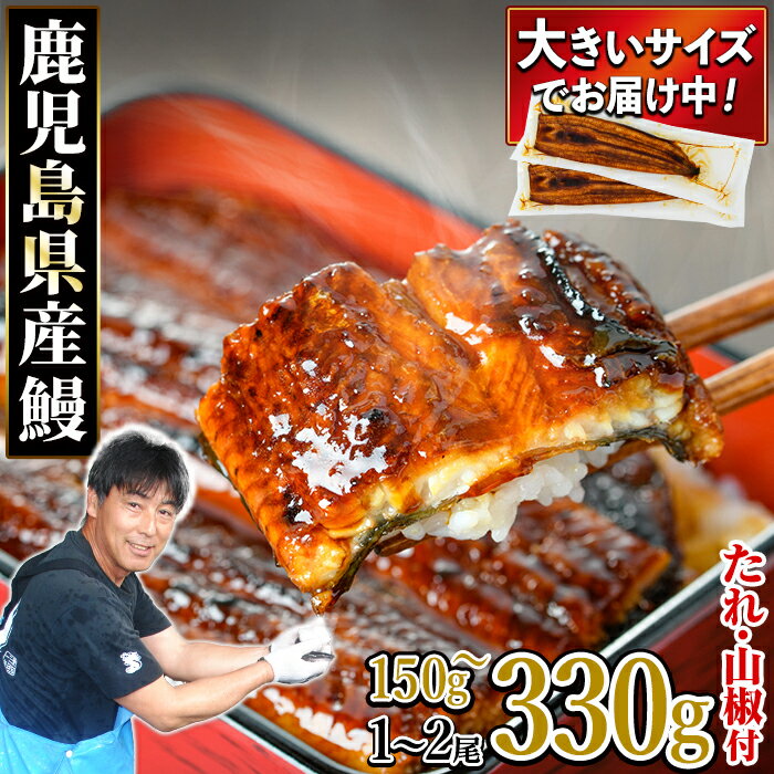 【ふるさと納税】《高評価★4.72獲得》【数量限定】＜定期便選べる＞東串良町の<strong>うなぎ</strong>蒲焼(無頭・タレ、山椒付)＜1尾～2尾 / 定期便・2尾×3回＞ ふるさと納税 <strong>うなぎ</strong> ふるさと ウナギ 鰻 蒲焼き 定期便 国産 九州産 鹿児島県産 人気 ランキング おすすめ 【アクアおおすみ】