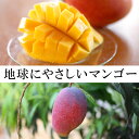 【ふるさと納税】天城町産マンゴー2kg〜地球にやさしい完全無...