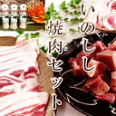 【鹿児島徳之島】イノシシ焼肉用1kg&パパイヤスパイス3種セ...