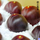 【ふるさと納税】徳之島パッションフルーツ(予約)