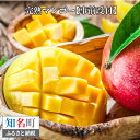 【ふるさと納税】完熟マンゴー(沖永良部島産)【事前受付】