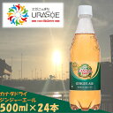 【ふるさと納税】カナダドライ ジンジャーエール 500ml×24本