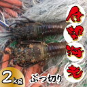 【ふるさと納税】鮮度に自信あり!!鍋・汁物に最適!伊勢海老冷凍2kg(ぶつ切り) 南国 伊勢海老 おせち 宮古島 鍋