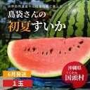 【ふるさと納税】島袋さんの初夏スイカ《5~7Kg×1玉》【2022年6月発送】