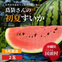 【ふるさと納税】島袋さんの初夏スイカ《5~7Kg×2玉》【2022年6月発送】