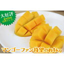 【ふるさと納税】【農家直送!】沖縄県東村産贅沢完熟マンゴー約...