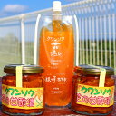 【ふるさと納税】沖縄島野菜「クワンソウ」ジュレ&酢漬けセット...