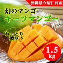 【ふるさと納税】緑のマンゴー・キーツ(1.5kg)2019年...