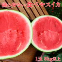 【ふるさと納税】種の少ない食べやスイカ 1玉