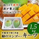 【ふるさと納税】緑のマンゴー・キーツ(1.5kg)2019年...