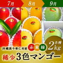 【ふるさと納税】【先行予約 限定100】 稀少3色マンゴー(...