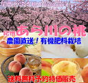 【送料無料・産地直送】減農薬・有機肥料栽培 和歌山 あら川の桃13?15玉 約3.8kg産地化粧箱入 贈答向け特選品 【低農薬 あらかわの桃 荒川の桃 白鳳 清水白桃 御中元 御中元】【楽ギフ_のし宛書】【smtb-k】【w2】送料込【10P24Jun13】