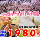 【送料無料】50%OFF!紀州和歌山 あら川の桃4〜5玉約1.2kg入 ご家庭用 【w2】送料込【west2_201204】【shipping0520】【FS_708-7】【FD】【マラソン1207P10】