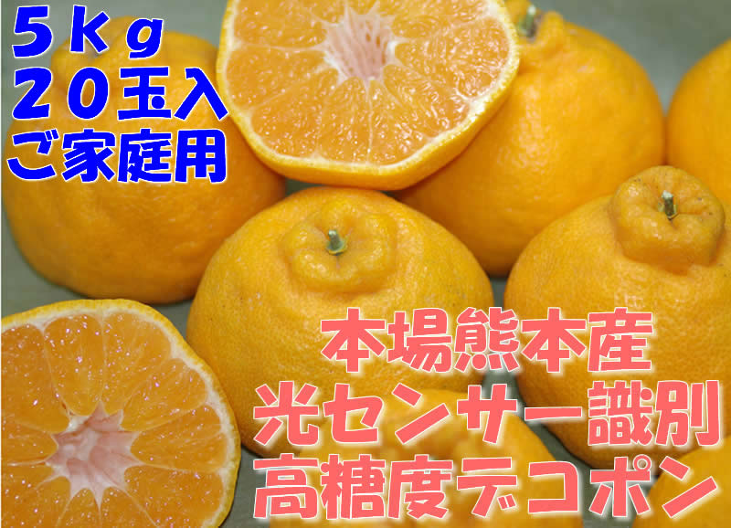 ǯ٤15١äƤǤ̣Ǥ̵ܾ췧ܻǥݥ5kg2024  ̵סۡڥݡ0903