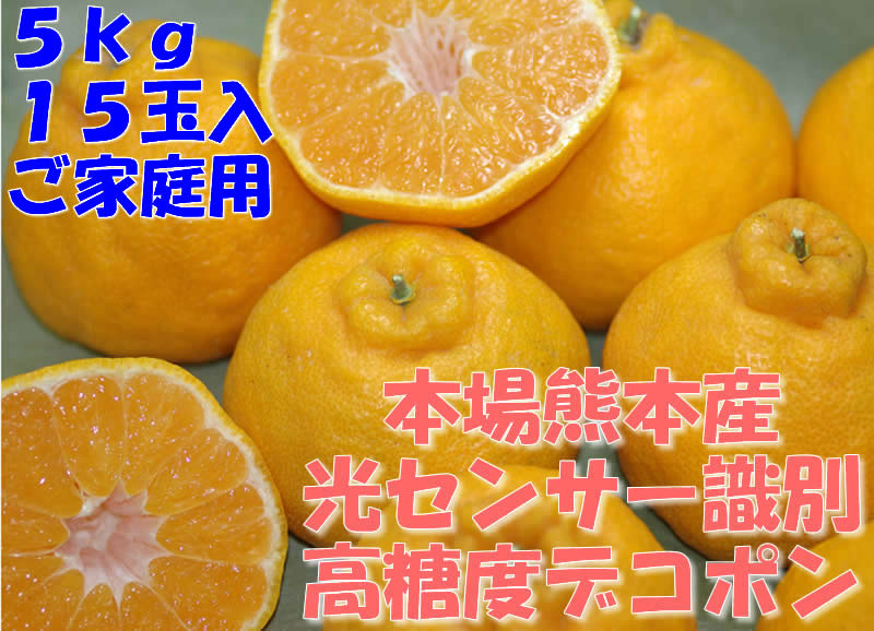 ǯ٤15١äƤǤ̣Ǥ̵ܾ췧ܻǥݥ5kg1518  ̵סۡڥݡ0903