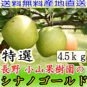 【送料無料・農園より産地直送】長野産 減農薬・有機肥料栽培 シナノゴールド プレミアム(贈答用・特選品質) 約4.5kg13?23個入 *10月20日?11月10日以降の発送予定 完熟 リンゴ りんご 林檎 秀品【楽ギフ_のし宛書】【smtb-k】【w2】送料込