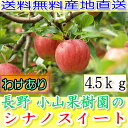 【送料無料・農園より産地直送】長野産 減農薬・有機肥料栽培 シナノスイート ご家庭用 約4.5kg12?23個入 *11月5日以降発送予定 完熟 リンゴ りんご 訳あり わけあり品 林檎 【楽ギフ_のし宛書】【smtb-k】【w2】送料込