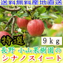 シナノスイート 送料無料 産地直送 長野産 減農薬 有機肥料使用 A品 約9kg 16〜50個入 完熟 リンゴ りんご 林檎 長野県産 小山 長野