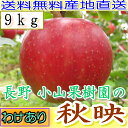 【送料無料・農園より産地直送】長野産 減農薬・有機肥料栽培 秋映りんご ご家庭用 約9kg24?46個入 *10月10日?25日以降の発送予定 リンゴ 林檎 訳あり わけあり品 【楽ギフ_のし宛書】【smtb-k】【w2】送料込
