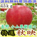 【10%OFFクーポン対象】送料無料 農園より産地直送 長野産 減農薬 有機肥料使用 秋映 A品 約4.5kg12〜25個入 リンゴ 林檎 あきばえ アキバエ 低農薬 信州産 長野県産 秋映え 小山