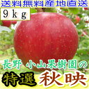 【10%OFFクーポン対象】料無料 農園より産地直送 長野産 減農薬 有機肥料使用 秋映 A品 約9kg24〜40個入 リンゴ 林檎 あきばえ アキバエ 低農薬 信州産 長野県産 秋映え 小山