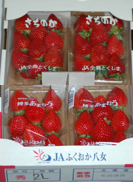 ޤΤ 쥮顼ѥå͹礻4ѥå