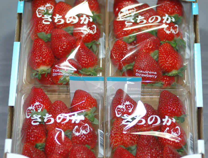 Τ 쥮顼ѥå4ѥå ڥݡ0903