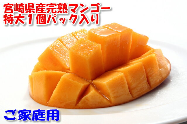 ܺ긩 ϥޥ󥴡 3L1̥ѥå*4ȯͽ