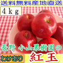 【送料無料・農園より産地直送】長野産 減農薬・有機肥料 栽培樹上完熟紅玉 ご家庭用 約4kg小玉16?30個入 *9月末?10月中旬以降発送予定 完熟 リンゴ りんご 訳あり わけあり品【楽ギフ_のし宛書】【smtb-k】【w2】送料込