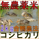 【ポイント合計14倍+100円OFFクーポン対象】【全額返金...