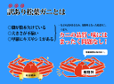 【ポイント10倍】送料無料 兵庫県浜坂漁港の漁師より産地直送...