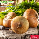 減農薬 淡路島 玉ねぎ 9kg タマネギ たまねぎ 玉葱 玉ネギ 淡路産 産地直送 SSS 6t