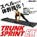 トランクスプリントEX スライドボード スライディングボード 体幹トレーニング 有酸素運動