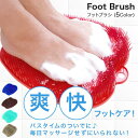 フットブラシ 足洗い 足洗いマット 足裏ブラシ 足臭い 角質ケア フットケアブラシ 角質 臭い 防止 足裏マッサージ (箱なし)(送料無料)
