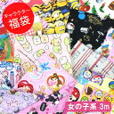 【選べる!キャラクター福袋】女の子系◆約3m入◆ハギレセット...