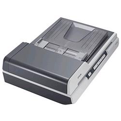 【送料無料】エプソン　EPSON　Colorio　A4フラットベットスキャナ　GT-D1000　