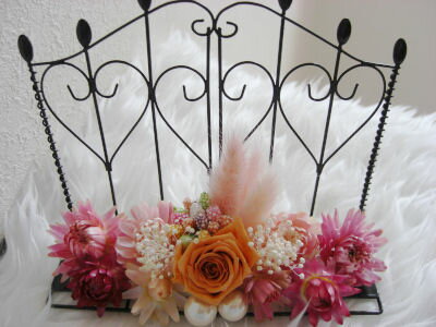 βİ㡼बդƤޤϥåԡСǥ㡼դץꥶ֥ɥե