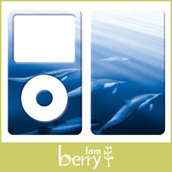 ipod 5I[NV