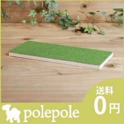 polepole ( ぽれぽれ動物 ) ディスプレイ用　ぽれぽれ台.
