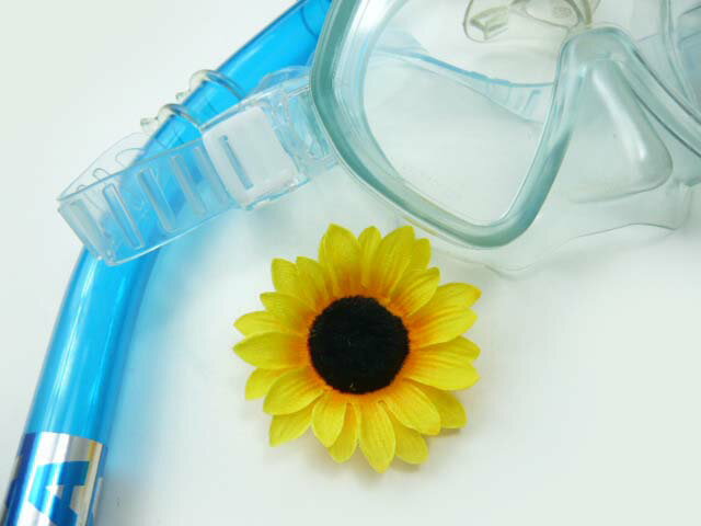 RT[WANZT[wA[ANZT[ɂȂ̑ԁ聕RT[W2WAY Ђ܂菬(1j8086