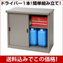 組立式 スチール 物置 AD-0983 限定色 ラ