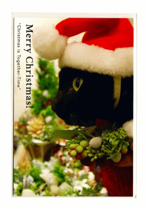 クリスマスポストカード　★　ヨーロッパ旅してしまった猫・・・ノロがサンタに！横むき