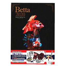 ベタ 写真集 「Betta 2020」<strong>さかなクン</strong>がこれはすギョいと大絶賛 豪華熱帯魚 ベタ 2020 Betta2020 魚 本