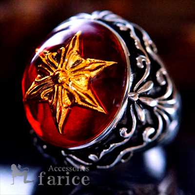 wLTSES[hX^[(Zp)& bhOXXg[ t[hX(S̉Ԃ̖)̒胉EhfUC Y XeX O