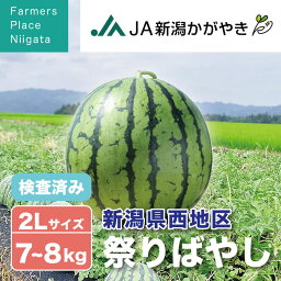 【予約受付中】祭りばやし <strong>スイカ</strong> 西瓜 大玉 秀品 贈答用 2Lサイズ 7〜8kg (1玉) 新潟市西区赤塚地区産 検査済み お歳暮 送料無料 ギフト 贈り物 <strong>贈答品</strong> 高級