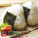 新米 キヌヒカリ 2kg 令和2年産 近江米 滋賀県産