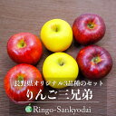 【送料無料】りんご三兄弟(秋映、シナノスイート、シナノゴールド)味くらべセット(6玉)長野県・高山村産