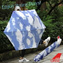 【ポイント10倍】Air OFESS エアーオフェス Sky【UV 晴雨兼用 空】