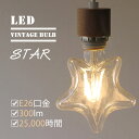 【ポイント10倍】LED BULB STAR【BRID VI...