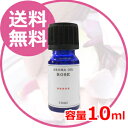 【スーパーSALE限定★全品P6倍以上】【お試し価格・お一人様1個まで】